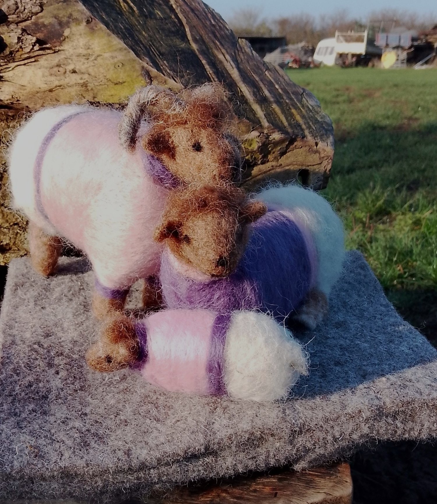 Image of SHEEP IN SWEATERS - FAMILY GROUP