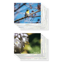 Image 1 of Postcard Sets