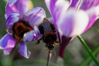 Image 3 of Personal Project