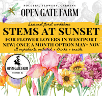 Image 1 of STEMS AT SUNSET - FULL SEASON TICKET (7 Workshops)
