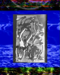 YUNG SHROOMS - McKennaii Mixtape - CD - 3G