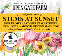 Image 1 of STEMS AT SUNSET - FLORAL WORKSHOP TICKETS