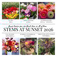 Image 2 of STEMS AT SUNSET - FLORAL WORKSHOP TICKETS
