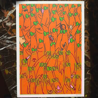 Image 1 of Des abriculs PARTOUT 🍑