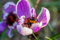 Image 2 of Personal Project