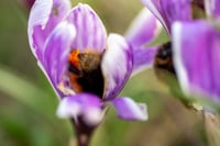 Image 4 of Personal Project