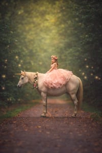 Image 1 of **Sunday, May 24, 2026 — Memorial Day Weekend Unicorn Mini Sessions** **Williamstown, NJ | $325**