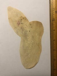 Image 2 of 1970’s Spaulding & Roger’s original hand colored production pork chop flash Snake woman 