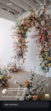 Image 1 of Spring minis @roam 