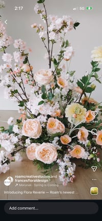 Image 2 of Spring minis @roam 