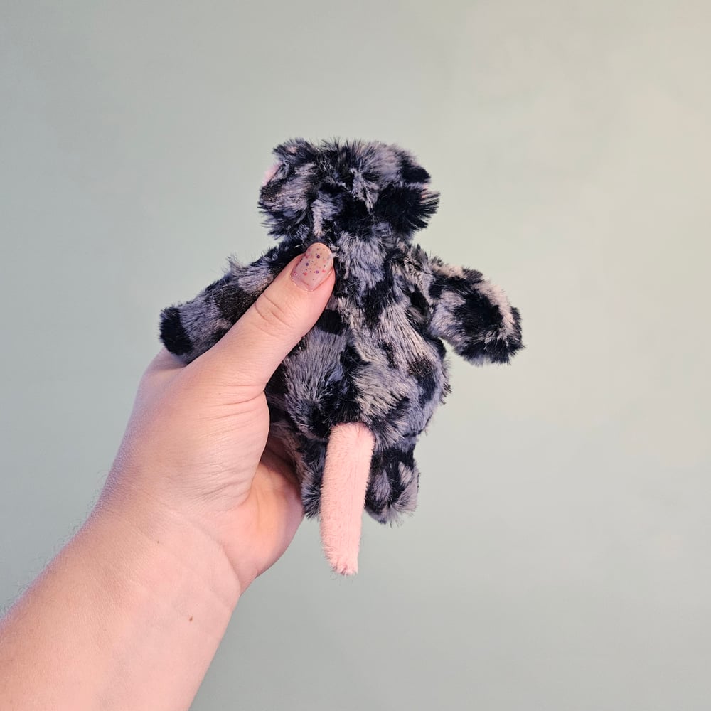 Image of Blueberry Mini Mouse