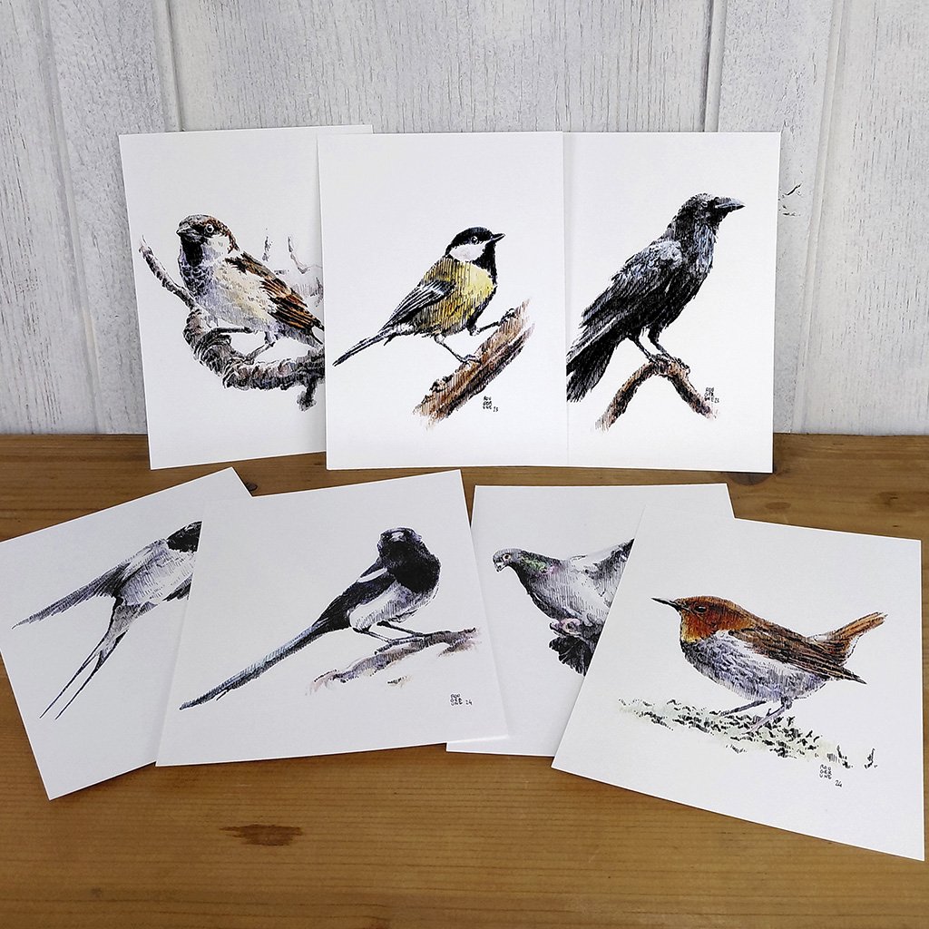 Cartes postales</br>"Oiseaux de nos jardins"
