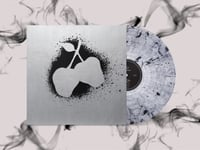 Image 3 of SILVER APPLES - two different LPs to choose from