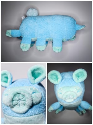 TARDIGRADE!! ...Water Bear!