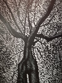 Radici [XL NO Version]