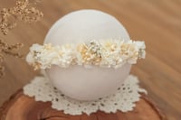 Newborn/Sitter Halo 281