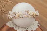 Newborn/Sitter Halo 282