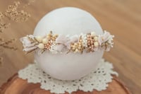 Newborn/Sitter Halo 283