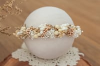 Newborn/Sitter Halo 284