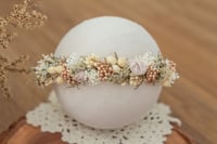 Newborn/Sitter Halo 285