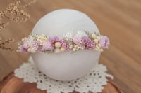 Newborn/Sitter Halo 287