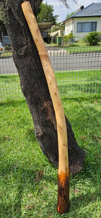 Image 2 of Natural wood grain Mallee wood 