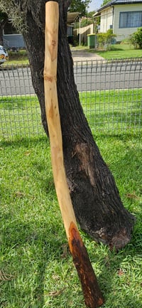 Image 3 of Natural wood grain Mallee wood 