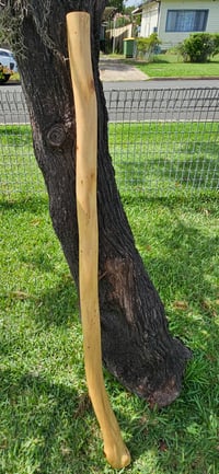 Image 2 of  "Resonant Earth" Mallee