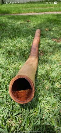 Image 5 of The "Rhythm Master" Mallee