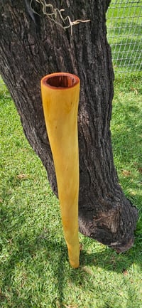 Image 1 of The "Bush Spirit" Malleennamed Product