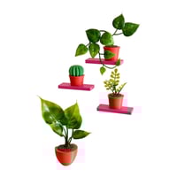 Image 1 of Apartment Therapy - Plants