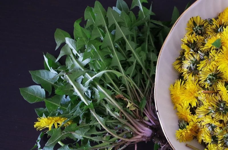 VEGETABLE FLAKES. Kale-Alfalfa-Watercress-Dandelion. 