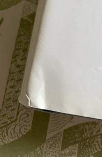 Image 3 of Winifred Nicholson by Christopher Andreae