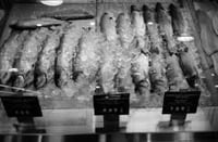 (yumi)(no)(MONOGURUI)(ii):(YUGHUR::PHANTOM)(digital copy)