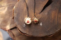 Image 3 of Collana Rosone di capriolo 