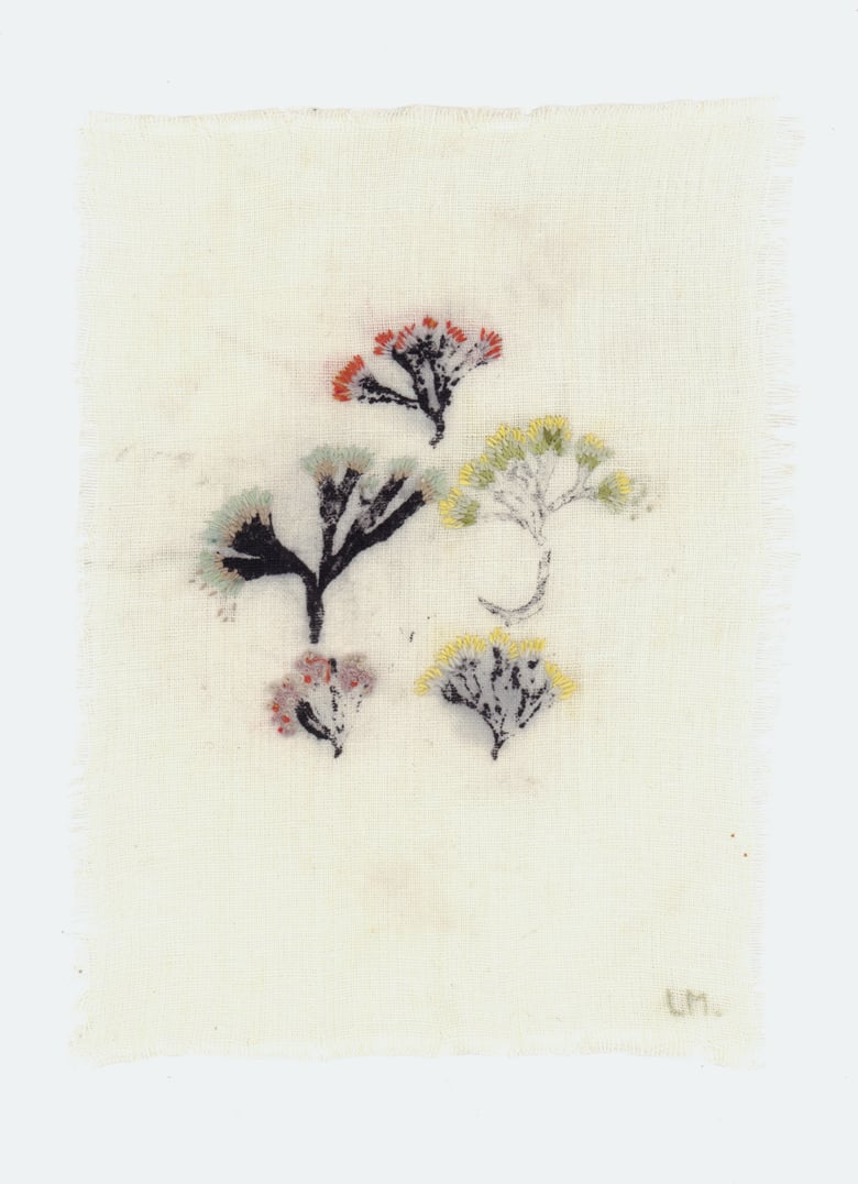 Image of Feamainn II, 2026