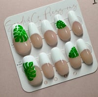 Image 1 of Monstera Moments