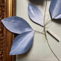 Image 5 of Être fleur bleue n*1