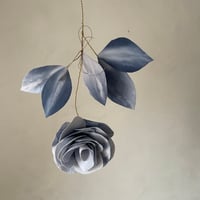 Image 2 of Être fleur bleue n*1