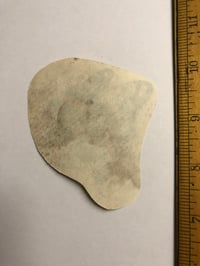 Image 2 of 1970’s Spaulding & Roger’s hand colored original production pork chop flash butterfly lady