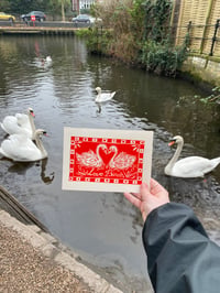 Image 1 of Love Birds Prints & Cards 