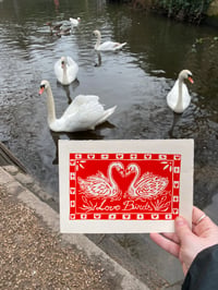Image 2 of Love Birds Prints & Cards 