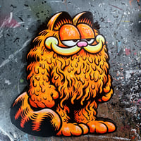 Image 1 of Garfield