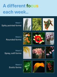Image 2 of Patterns in nature - 4 week online art course