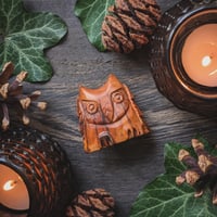 Image 1 of Saxon Yew Owl Amulet (DAM706)