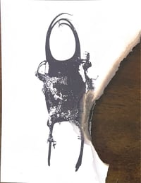 Adrienne Greenblatt || Progress, 2026