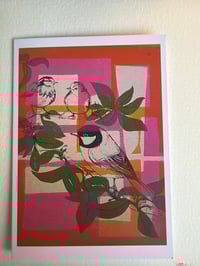 Greeting Card / Coal Tit