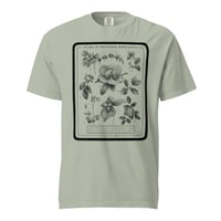 Image 6 of Flora  (by Land of Sky)