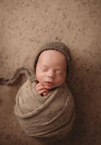 Image 14 of Luxe Newborn Session