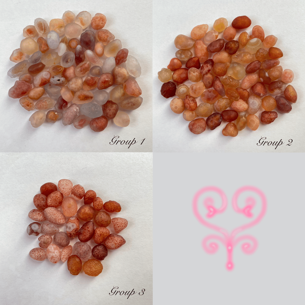 Image of ᖭི༏ᖫྀ Elementae『Ring 』